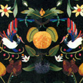 Arte Decorativa di Fiordelisi Simone: Tavoli, Uva con fiori, frutta e uccelli