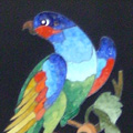 Arte Decorativa di Fiordelisi Simone: Images, Rainbow Parrot