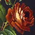 Arte Decorativa di Fiordelisi Simone: Images, Roses rouge